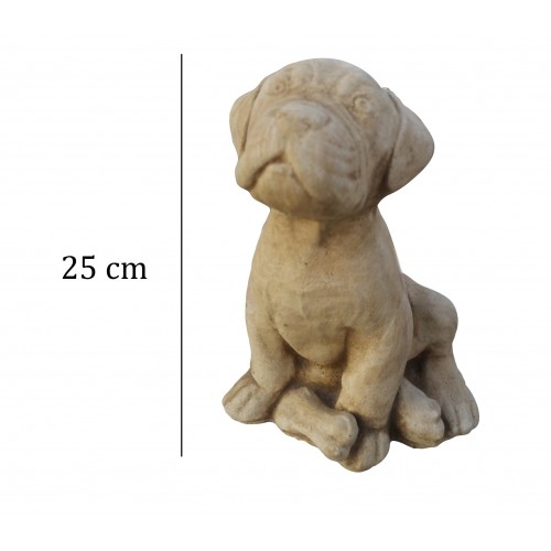 Pies pilnujący kości Art.830