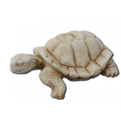 Mały żółwik  Art.390